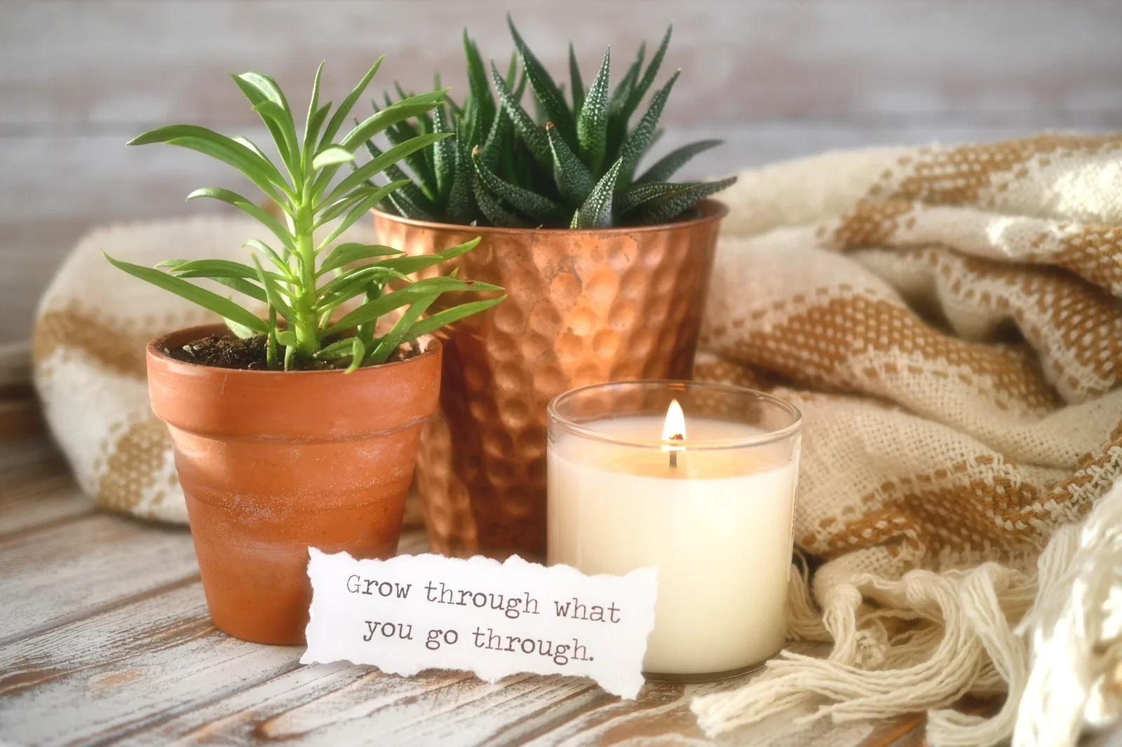 A card with a handwritten affirmation propped by a window with morning light and a plant